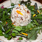 wildkrautersalat-mit-taschenkrebs-fleisch