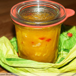 Chutney`s zubereiten – Grundrezept für Mango Chutney