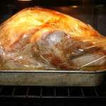 gans