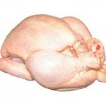 geflugel-300x225
