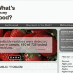 whats-on-my-food1