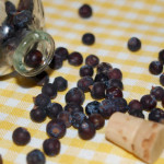 getrocknete-wacholderbeeren getrocknete-wacholderbeeren