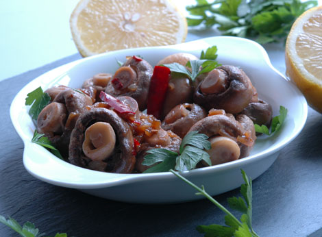 bild-champignons