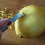zitronenzesten zitronenzesten