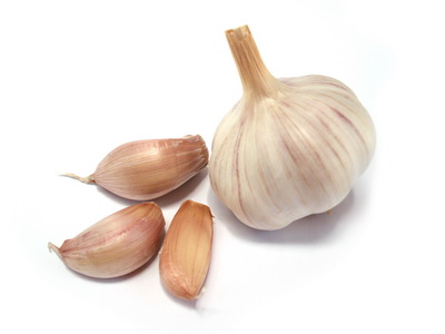 knoblauch