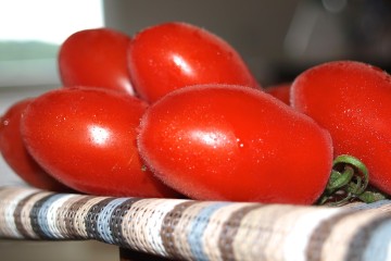 Guten Tomaten sind die Grundlage für leckere Gerichte
