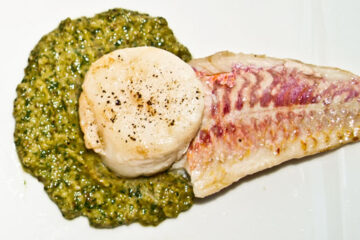 Rucolamus mit Jakobsmuscheln und Rotbarbe