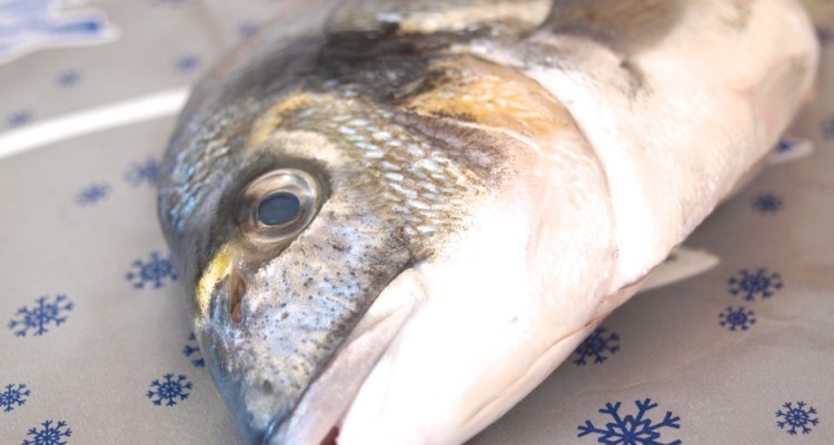 Fischseite richtig filetieren – Die Haut richtig abziehen!