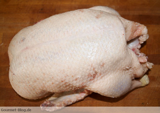 deutsche-junge-ente-bild