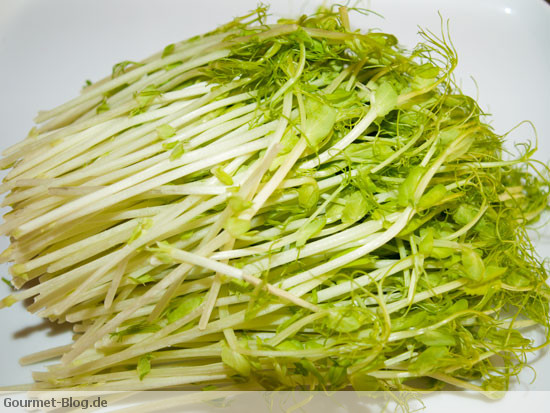 erbsensprossen-bild