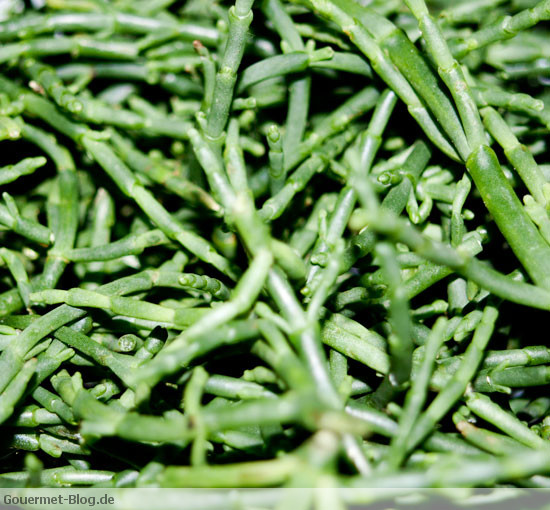 spargel-des-meeres-bild-salicornes