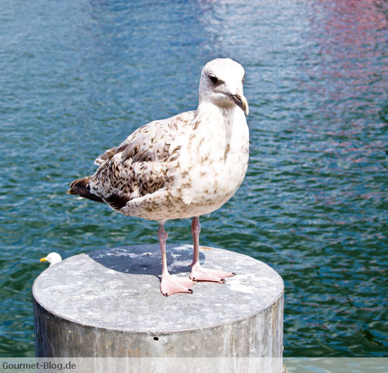 moeve-features-foto-warnemuende-moeve