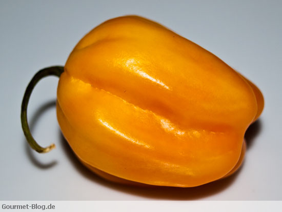 habaneros-gelbe-scharfe-habaneros-chili