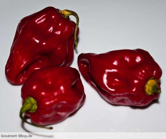 rote-habaneros-chili-habanero-scharfe-chili