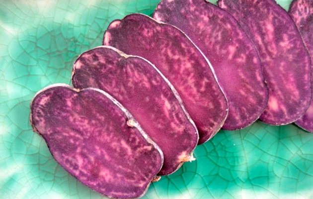 Trüffelkartoffel oder auch Vitelotte genannt