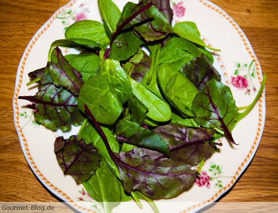 Rosa gebratene Entenbrust mit Blattsalaten - Spinatsalat und ...