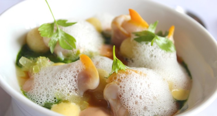 Muscheln mit Dijonsenf – Joghurt – Dill – Sauce