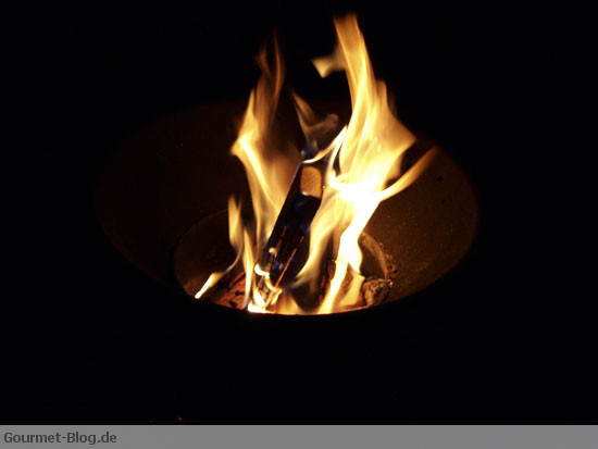 grillsaison_2010_feuer