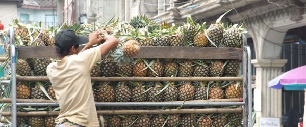 Ananas in Thailand - Hier braucht man nicht nachreifen zu lassen