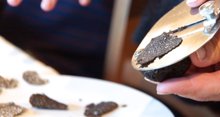 Frische Trüffel haben einen intensiven Geruch