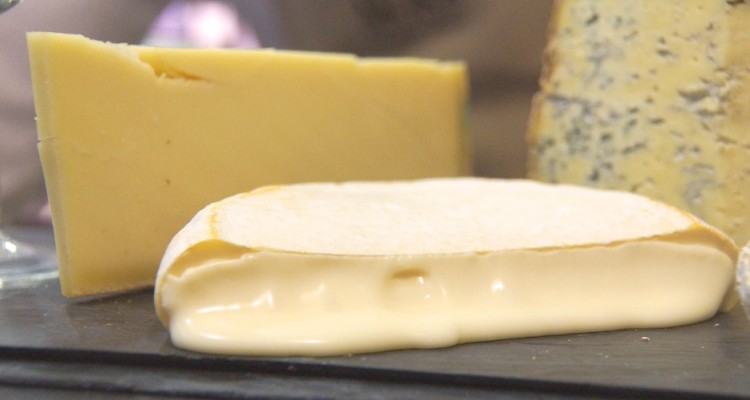 Käse optimal verpacken - dann bleibt er länger frisch