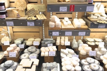 Pecorino und andere leckere Käsesorten im Käseladen - Ein Paradies