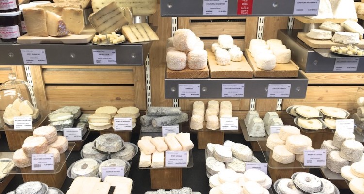 Pecorino und andere leckere Käsesorten im Käseladen - Ein Paradies