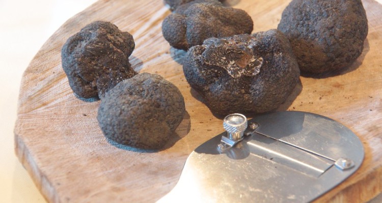 Wie lagert man Trüffel richtig um das Aroma zu erhalten