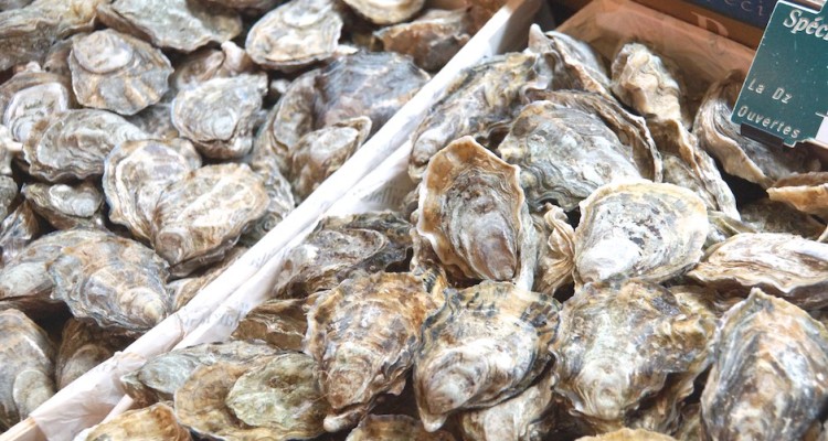 Woran erkennt man frische Austern?