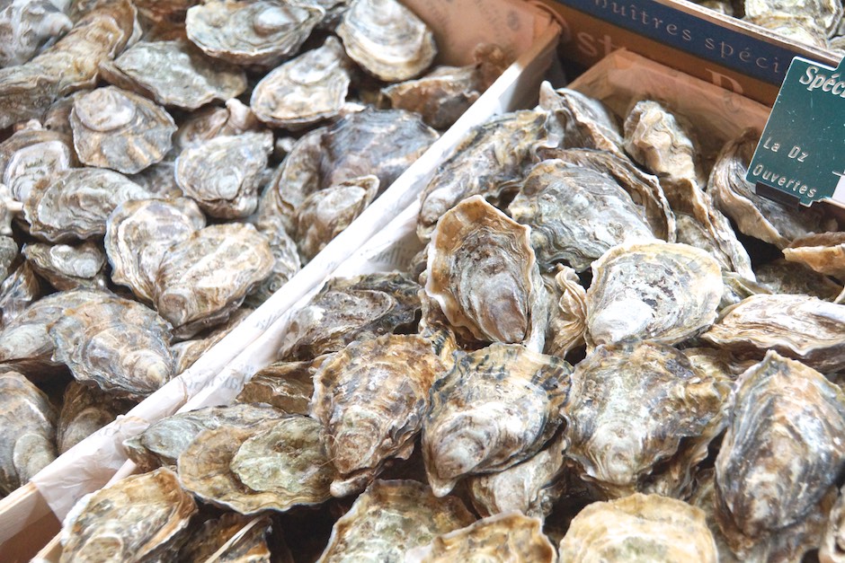 Woran erkennt man frische Austern?
