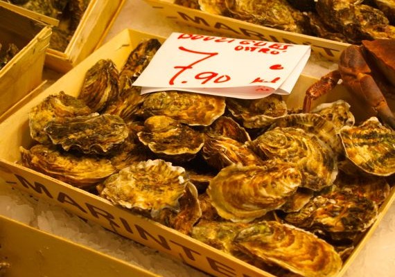 Frische Austern