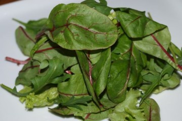 Frischer Spinat
