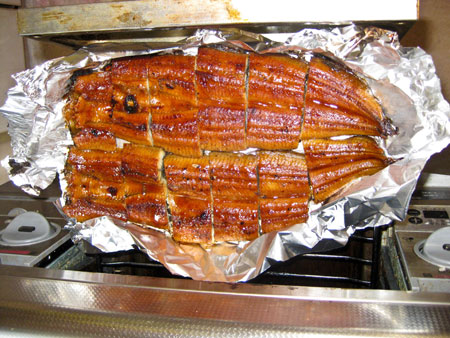 unagi-grillen Unagi richtig grillen