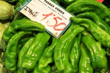 pimentos-de-padron