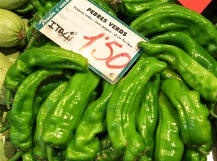 pimentos-de-padron