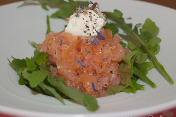 Lachstatar mit Rucola