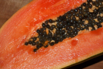 papaya