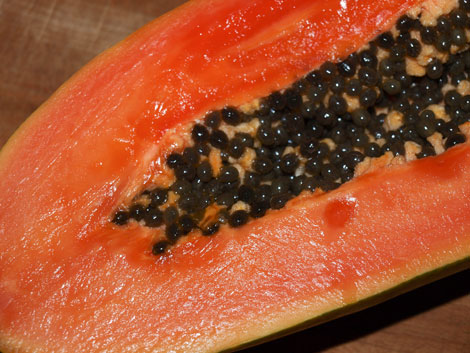 papaya