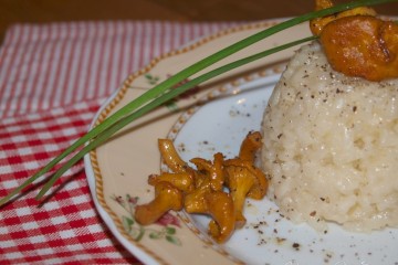 reisnudelrisotto