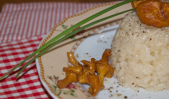reisnudelrisotto