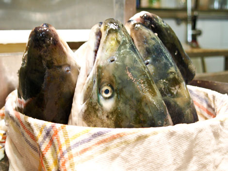 Fischköpfe für Fischfond auskochen