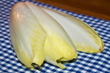 Chicoree ist gesund und voller Vitamine
