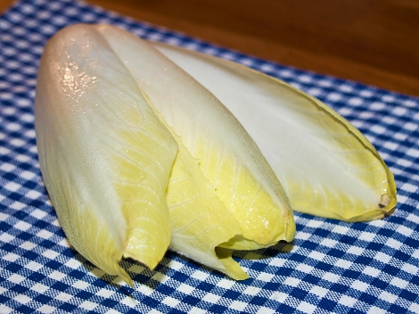 chicoree Chicoree ist gesund und voller Vitamine
