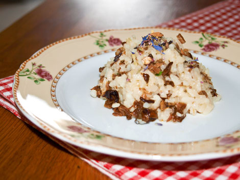 Steinpilz-Risotto selbst gemacht