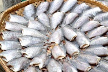 Fisch auf der Haut braten - so gelingt der Fisch!