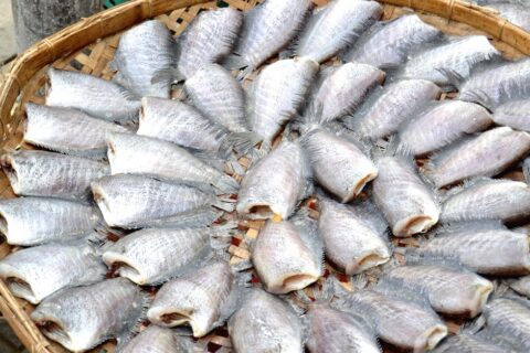 Fisch auf der Haut braten - so gelingt der Fisch!