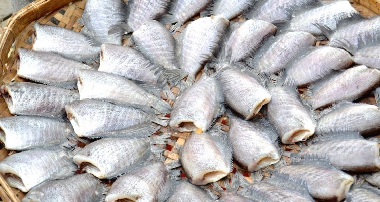 Fisch auf der Haut braten - so gelingt der Fisch!