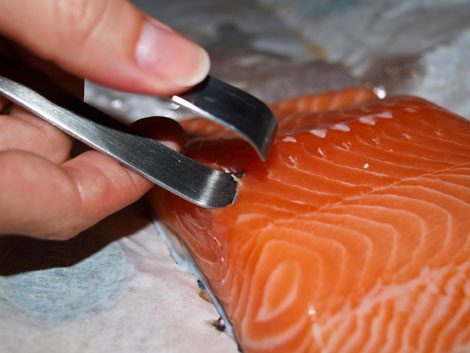 fisch-engraeten Fisch entgräten mit der Grätenzange