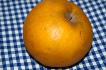 apfel