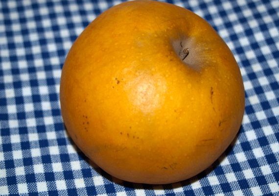 apfel